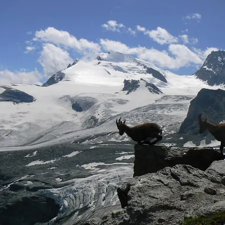 Mountain With Balcony Apartamento